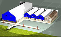 Marina Revitalization